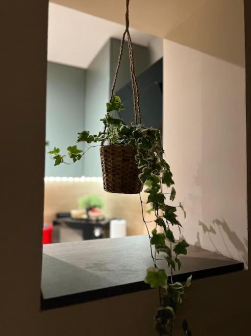 Apartament 7- A Chic Urban Hideaway, 10min Walk To Center Timişoara